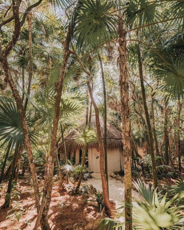 Art Village Tulum Zewnętrze zdjęcie